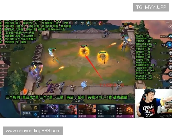 云顶官网官方网站客服支持与常见问题解决方案解析