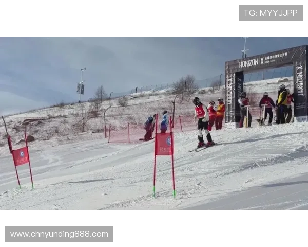 云顶体育如何实现多元化体育赛事覆盖满足不同用户的娱乐与竞技需求