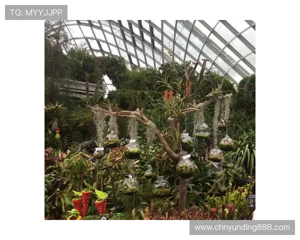 滨海湾金沙娱乐场：体验新加坡奢华娱乐的极致享受